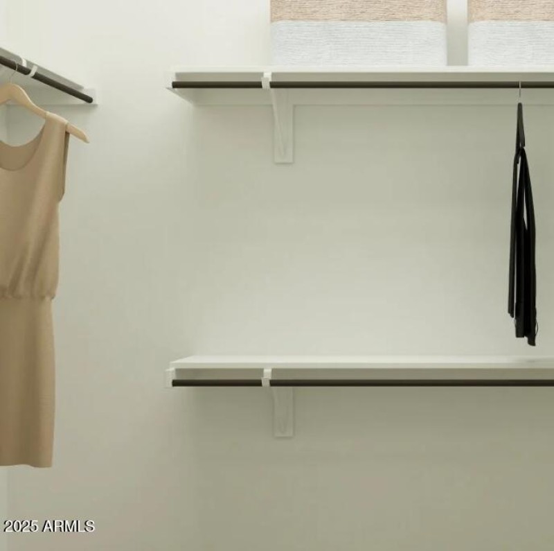Owners Walk in Closet