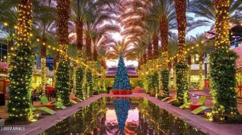 981c062f-f78a-4a06-8e0e-c8d556bd5dee