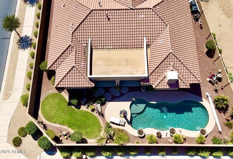 Beautiful Back Yard