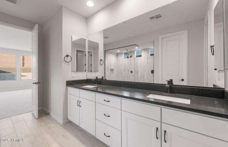 Owner's Bathroom