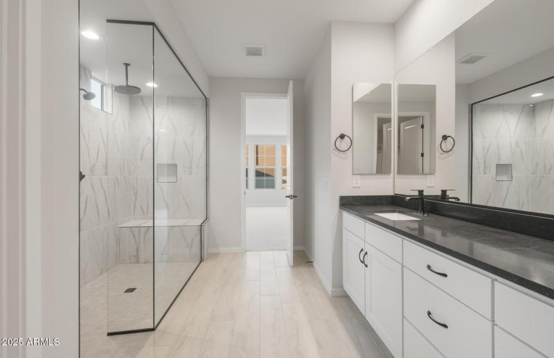 Owner's Bathroom
