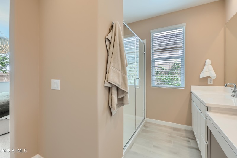 Owner's Bath