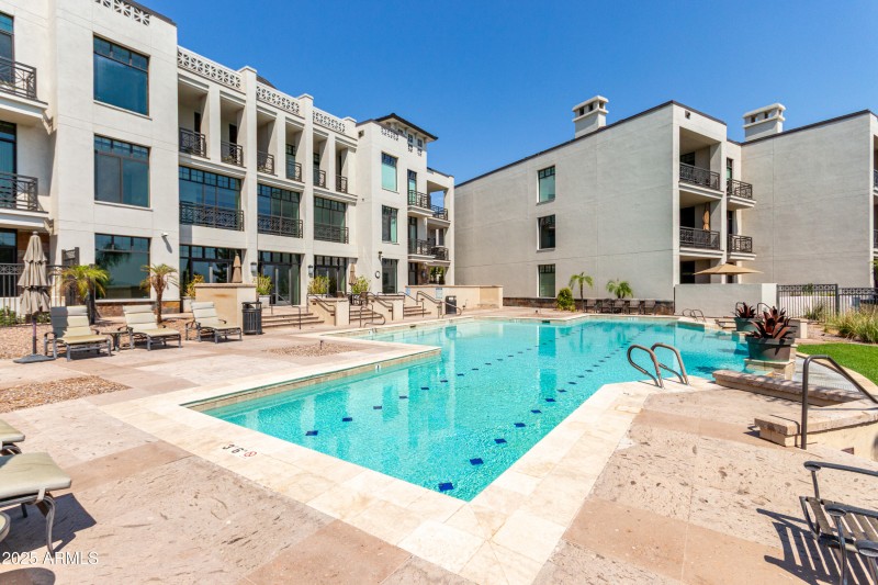 Swim Your Laps