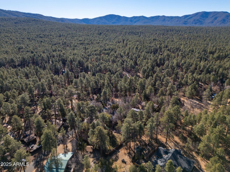 9-web-or-mls-4196-s-coburn-dr