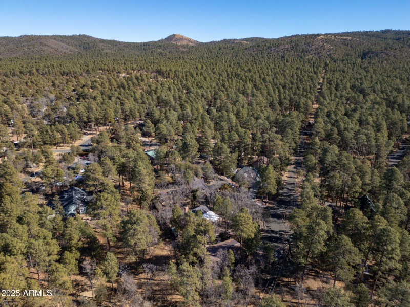 10-web-or-mls-4196-s-coburn-dr