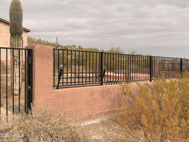 From Outside of Backyard!