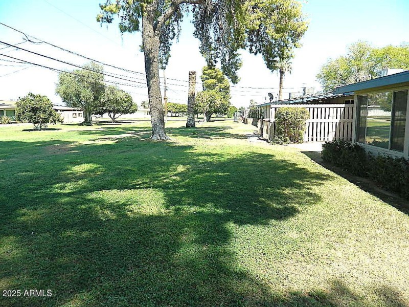 E BACKYARD