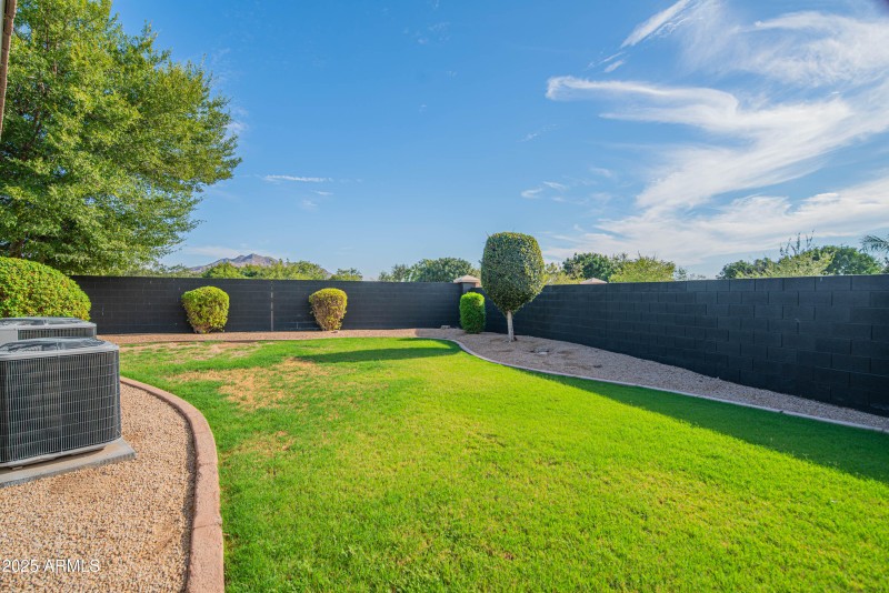 Grass Area