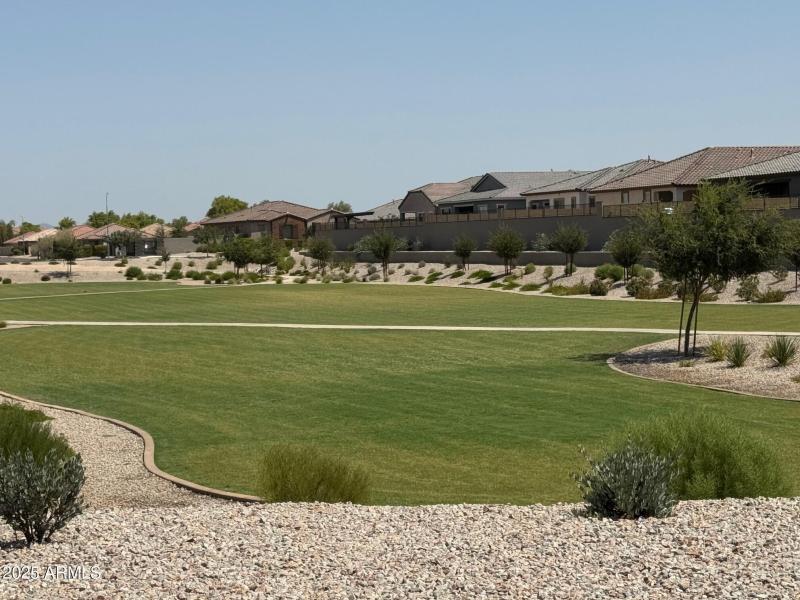 Common Area - Grass2