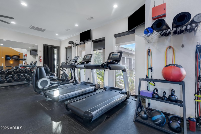 Amazing Gym
