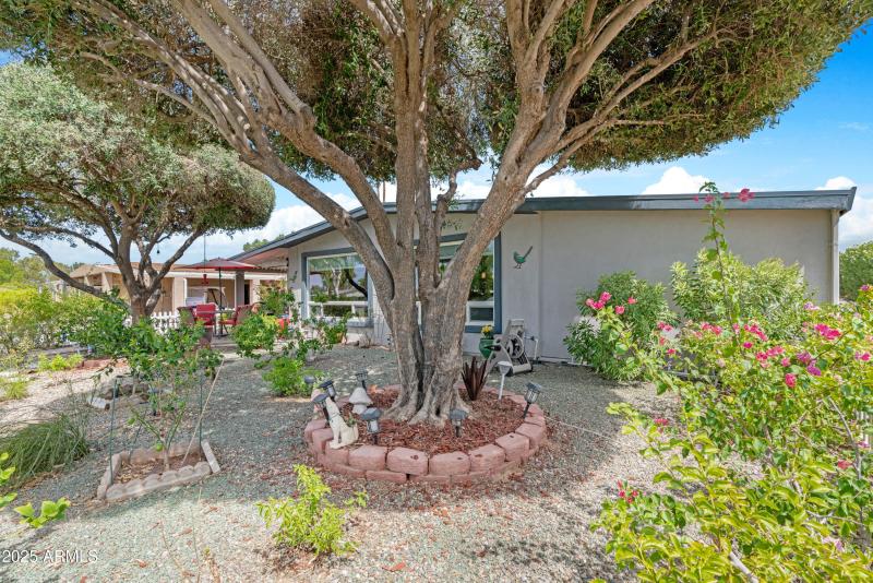Backyard 2
