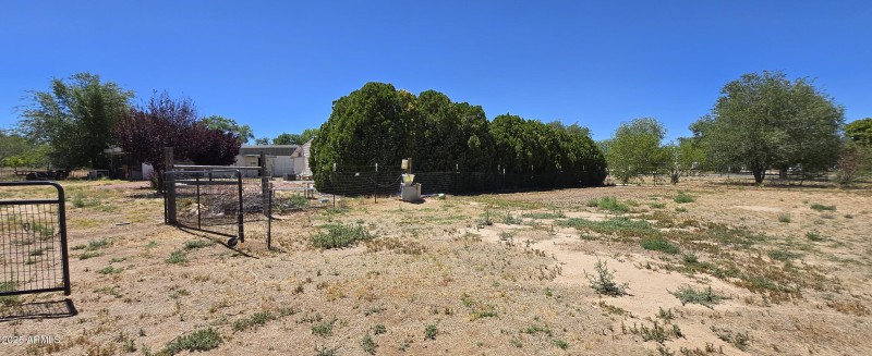 Horse area view 2