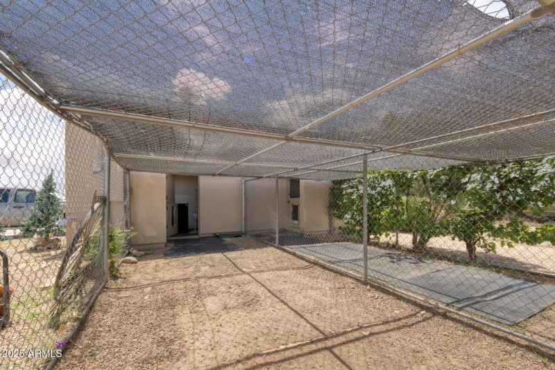 Dog runs - kennel entrance