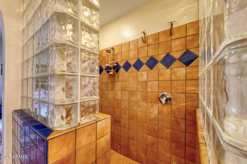 Primary Shower