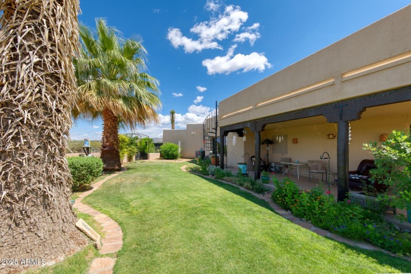 Rear yard lawn