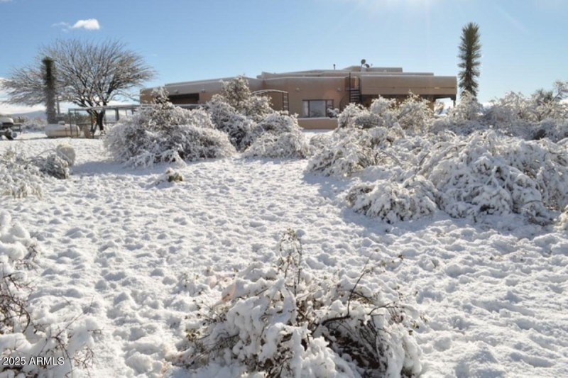 Snow shot1