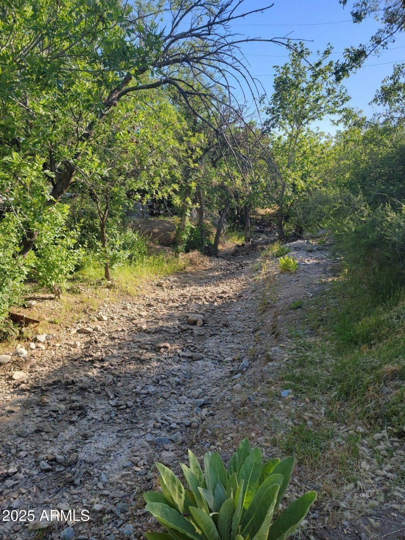 WH creek 2