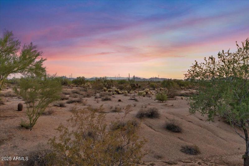 49-Back yard view twilight