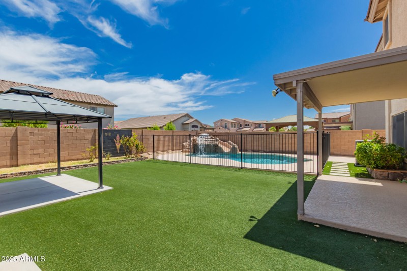 backyard1