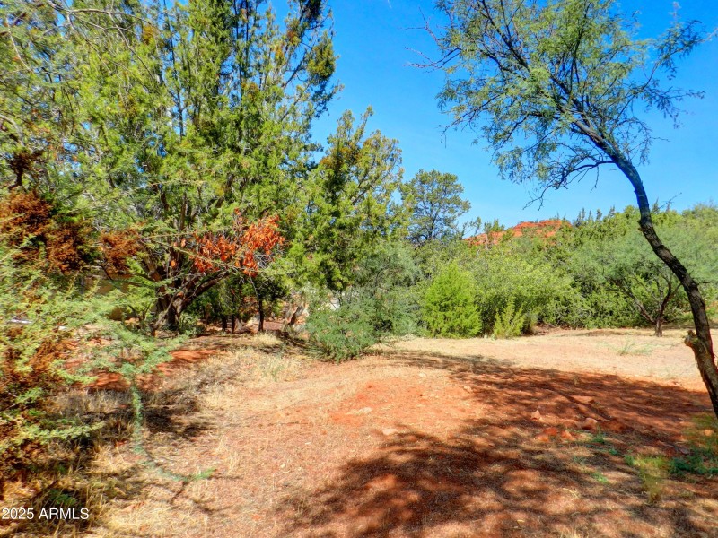 redrock (18)