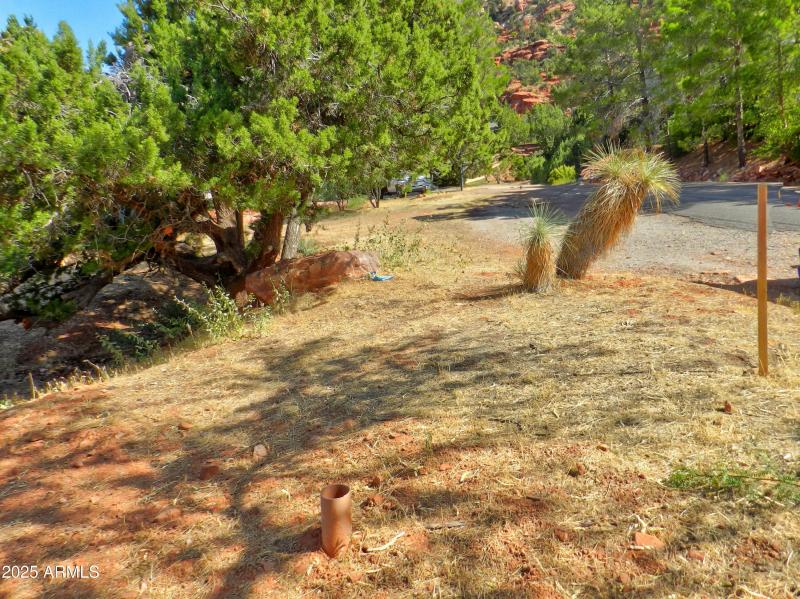redrock (15)