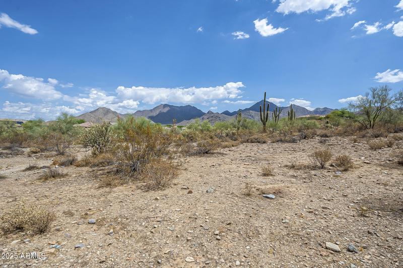 Queens - Community-11