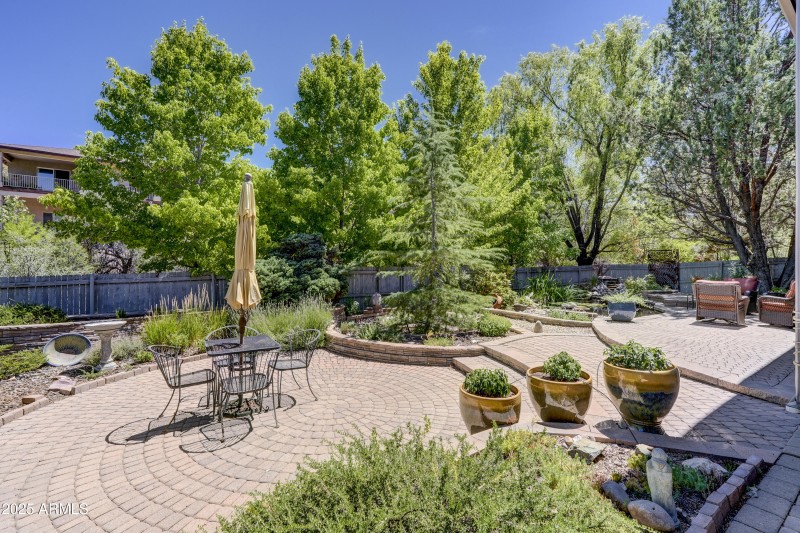 Back Yard 1