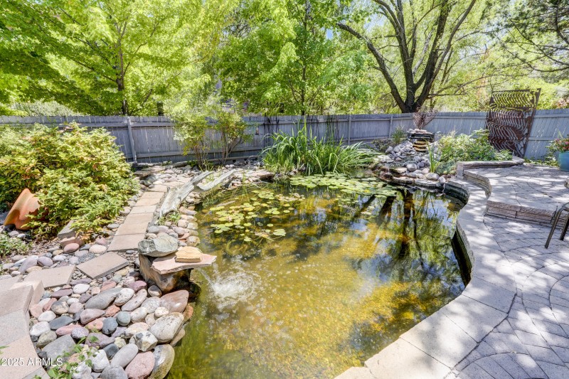 Koi Pond 1