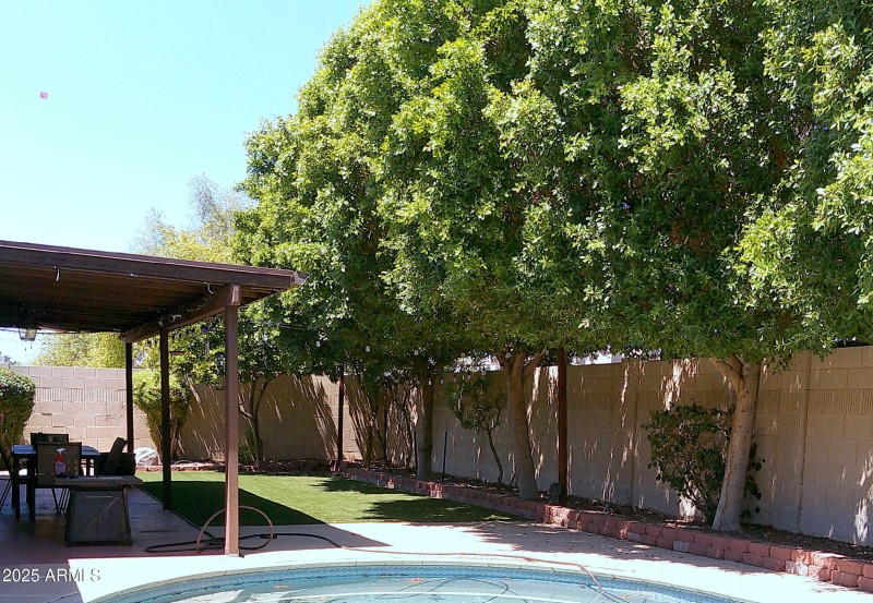 Lush Backyard