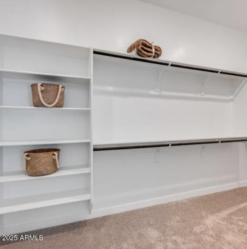 Owner's Walk in Closet