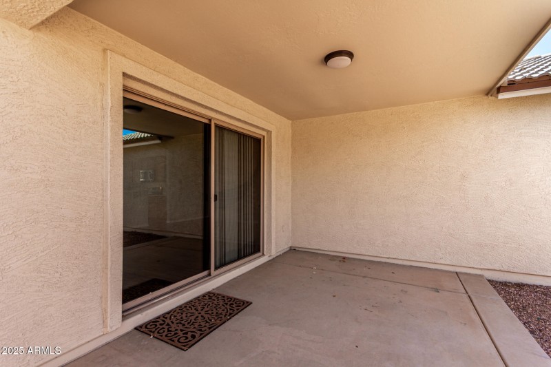 25 Saguaro
