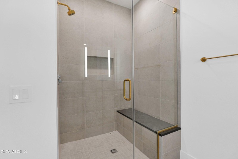 Primary Shower
