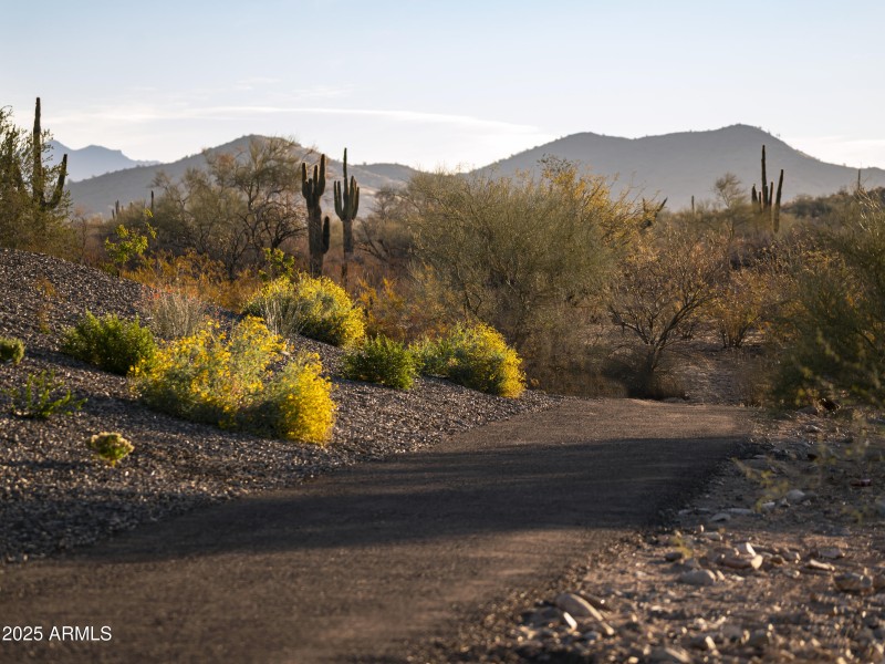 community trails