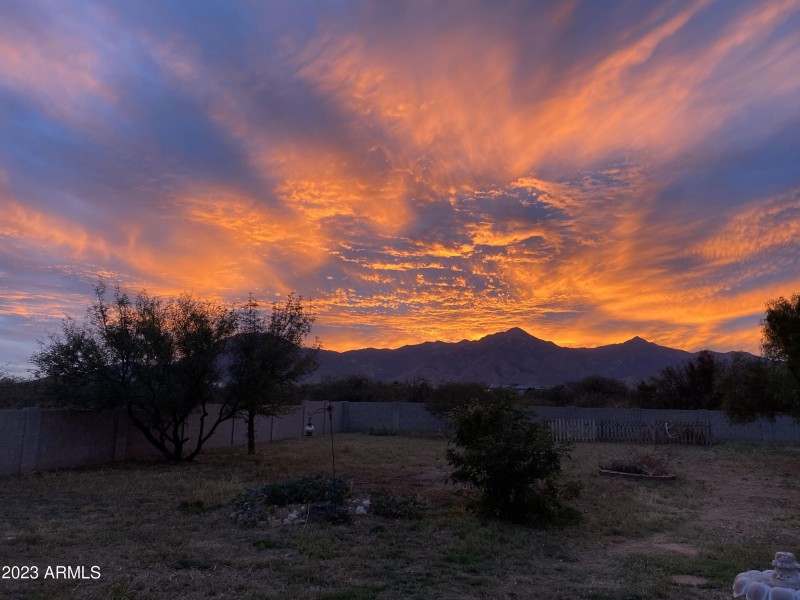 Wink Lewis Sunset Pic