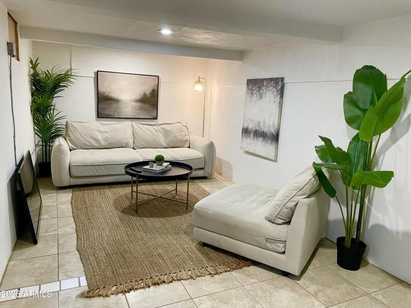 Basement family room