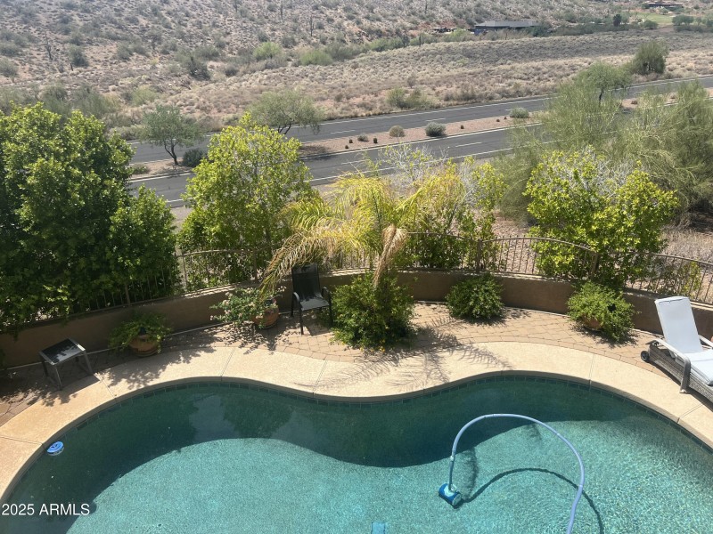 Plants/trees in backyard