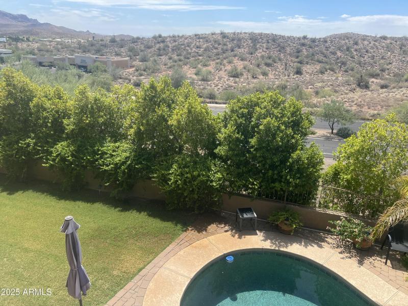 Plants/trees in backyard