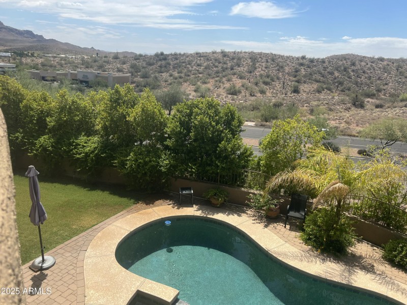 Plants/trees in backyard