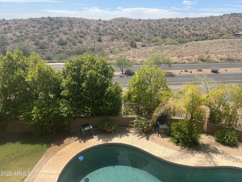 Plants/trees in backyard