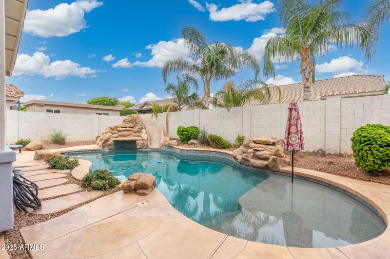 Back yard