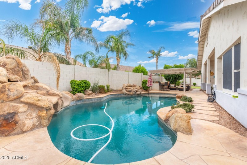 Back yard