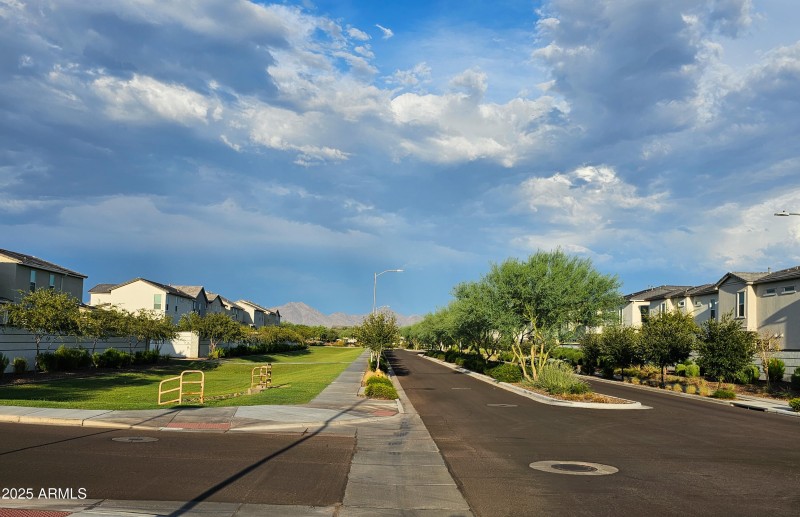 Entering Arabella