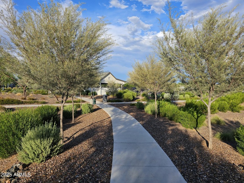 Walking Paths