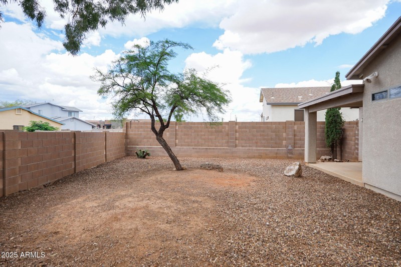 Backyard