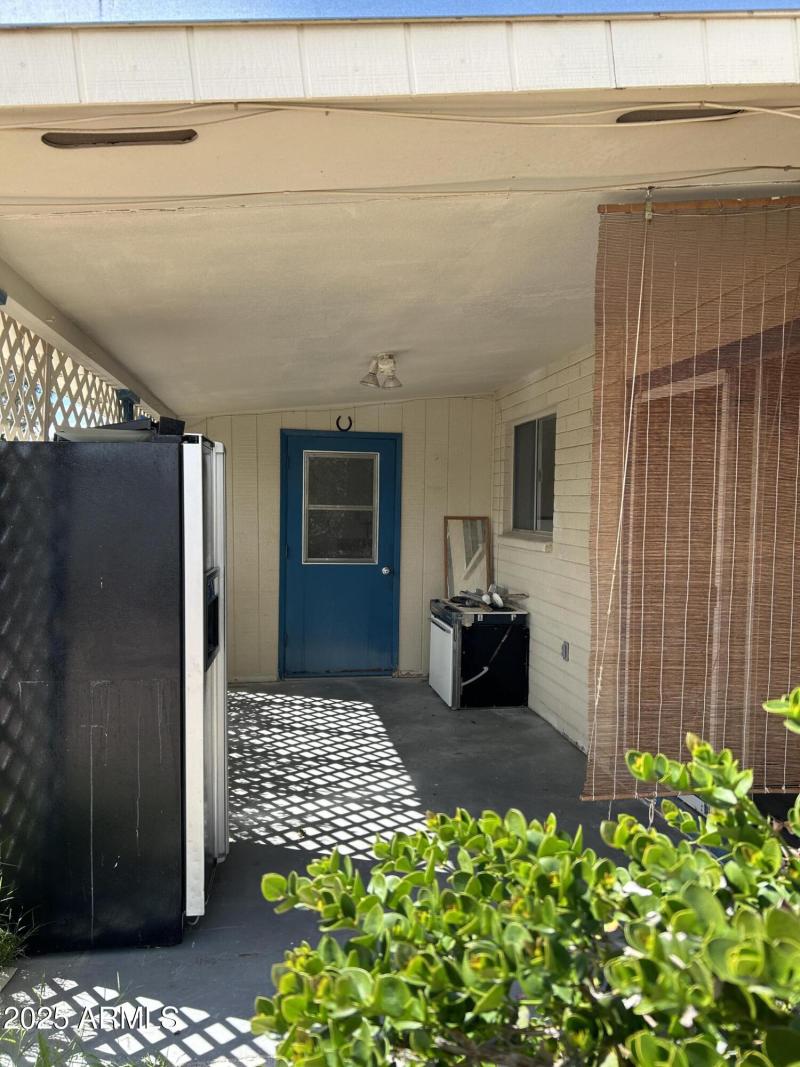 Back patio
