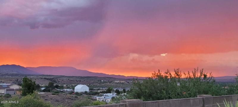 View from the backyard