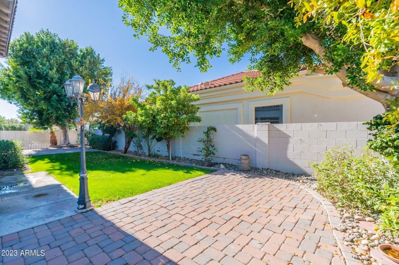 Backyard with fruit trees