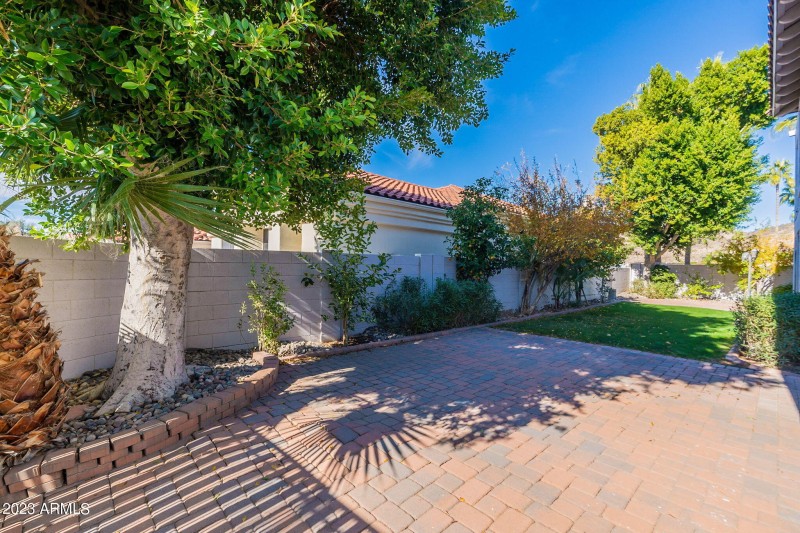 Side yard