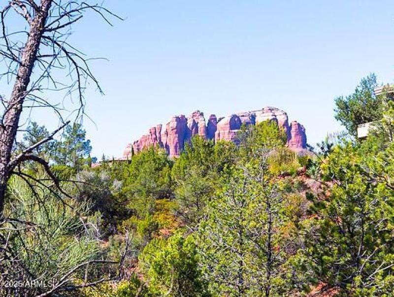 Cathedral Rock View