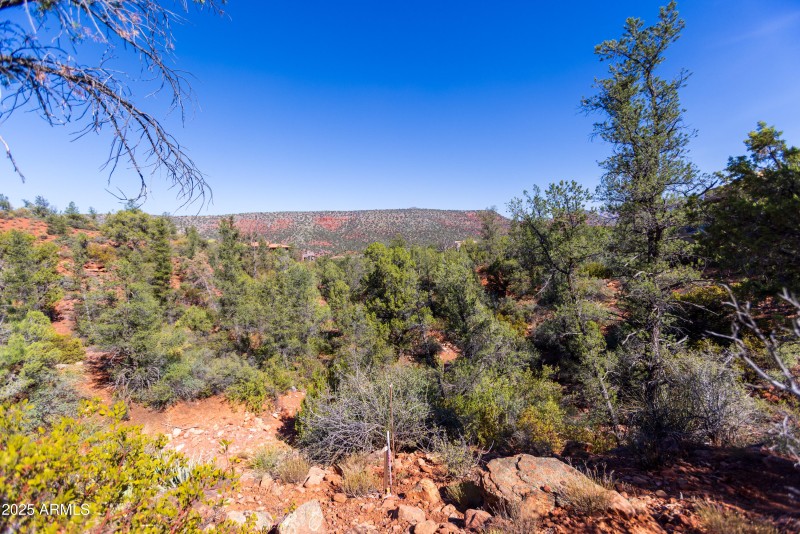 Expansive Views